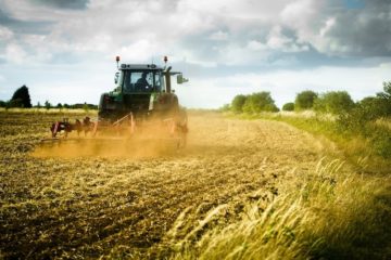 Agricoltura, Scilla: «Dal PSR Sicilia tre bandi per 120 milioni destinati ad agricoltori e allevatori»