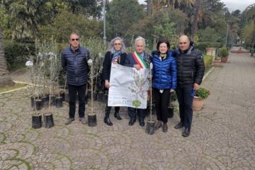 Giornata Mondiale della Terra, il sindaco di Corleone Nicolosi: Comune metterà a dimora 50 piante di olivo donate da slow food Monti Sicani  