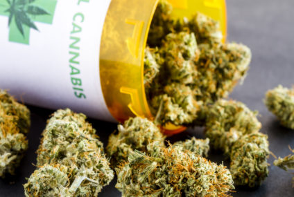 Cannabis terapeutica, al CEFPAS iscrizioni aperte al corso online per medici su corretto uso e prescrizione