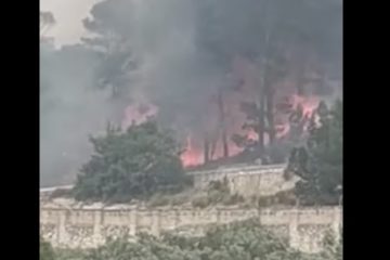 Incendio devasta Erice, alberi caduti per il vento a Palermo