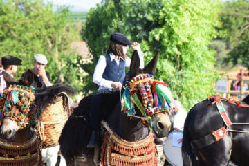 Sport equestri, tutto pronto per la quarta edizione della Fiera Mediterranea del Cavallo