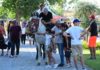 Sport equestri, domani al via la quarta edizione della “Fiera mediterranea del cavallo” ad Ambelia 