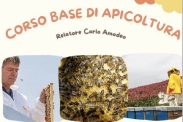 Mussomeli: corso base di apicoltura il 29 giugno