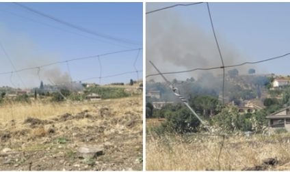 Video. San Cataldo, ennesimo incendio, Bonaffini: Proprietari dei terreni non rispettano ordinanza di pulirli