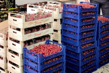GDF Caltanissetta: a Mussomeli   sequestrati 800 kg di prodotti ortofrutticoli