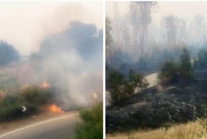 Incendio a Enna, distrutto bosco, minacciata polveriera. Roghi a Riesi, Mazzarino, Ribera, Sciacca e in altre parti della Sicilia