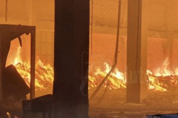 Incendio in capannone a Licata, morti cavalli  