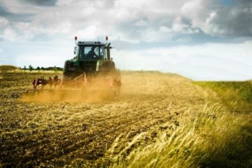 Agricoltura, via a pagamenti per oltre 85 milioni di euro
