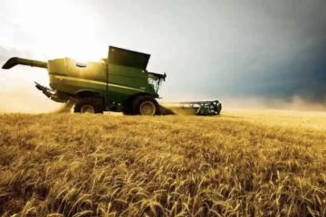 Agricoltura, bando Psr per finanziare l’ammodernamento delle aziende