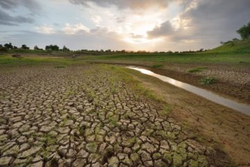 Sostegno alle imprese agricole danneggiate dalla siccità 2022. Domande entro il 5 febbraio