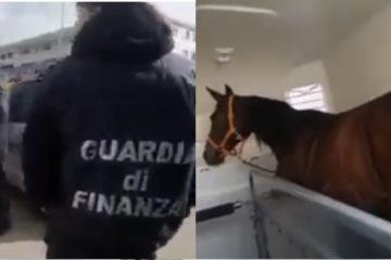 Naro, corse clandestine di cavalli: blitz polizia e Guardia di Finanza