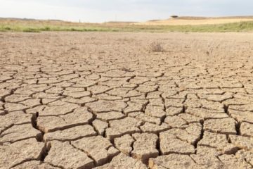 “Report Siccità 2022”, l’Autorità di bacino definisce le misure per fronteggiare la crisi idrica