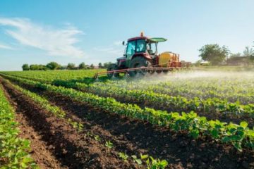 Agricoltura, bando da 14 milioni per investimenti sulle infrastrutture idriche della Sicilia