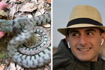 L’ambientalista Sebastian Colnaghi: “Ecco come ho documentato le prove che la Natrice dal collare morde”