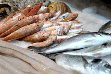 Pesca, dalla Regione un progetto per promuovere prodotti ittici e sana alimentazione