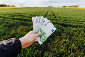Agricoltura, convenzione tra Regione e Commercialisti per ridurre tempi su contributi europei