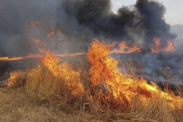 Caltanissetta, prevenzione incendi boschivi: riunione in prefettura