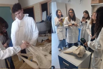 Caltanissetta, gli studenti del Russo sperimentano il mondo della ricerca scientifica nell’ambiente marino