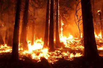 Caltanissetta, riunione in Prefettura per elaborare strategie efficaci contro gli incendi boschivi e di interfaccia