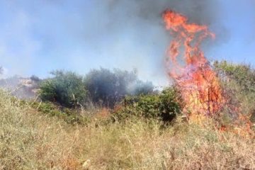 Incendi in Sicilia tra le problematiche forestali e mal gestione regionale