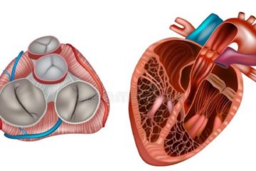 Salute, istituita commissione per cure delle valvulopatie cardiache