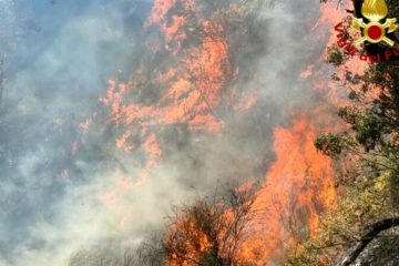 Allerta incendi, Regione dichiara stato di crisi e richiama in servizio 1.600 operai forestali
