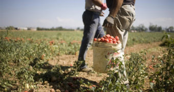 Cisl Agrigento Caltanissetta: “Lo sfruttamento dei lavoratori è una piaga indegna”