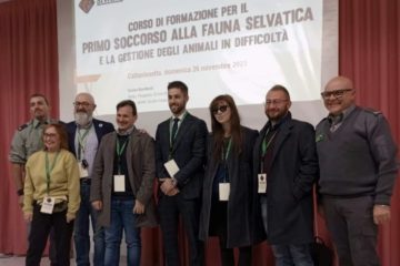 Caltanissetta, corso di Primo Soccorso per la Fauna Selvatica e animali in difficoltà: oltre 150 partecipanti da tutta la Sicilia 